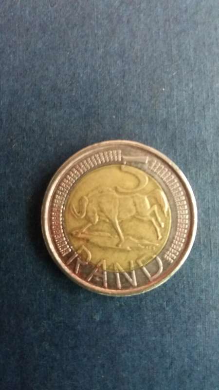 South Africa 2017 R5 * Wildebeest*