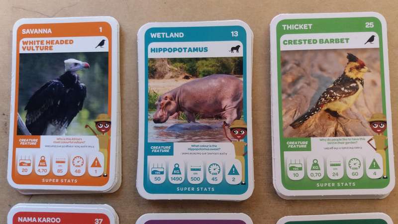 Pick n Pay Super Animals Green Cards 73 cards in sequence & 46 duplicates