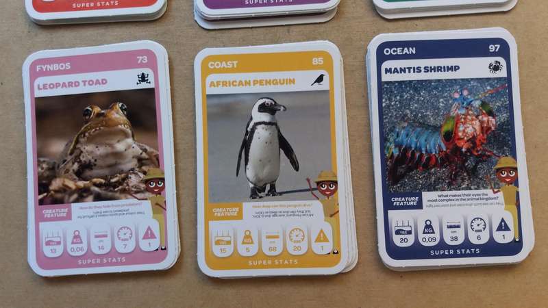 Pick n Pay Super Animals Green Cards 73 cards in sequence & 46 duplicates