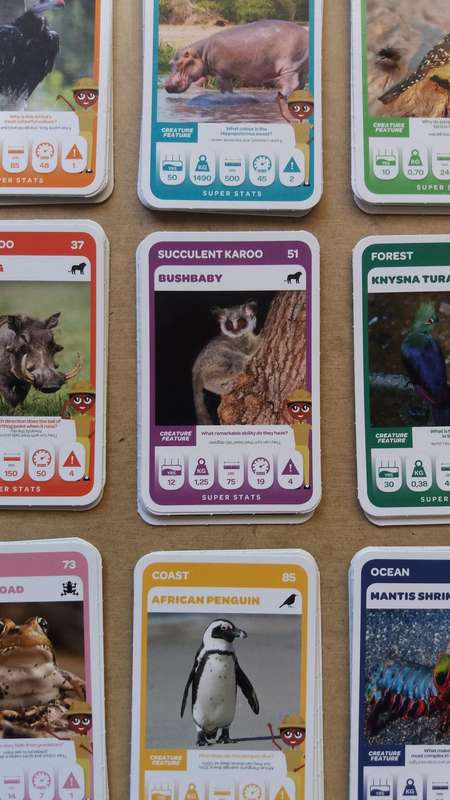 Pick n Pay Super Animals Green Cards 73 cards in sequence & 46 duplicates