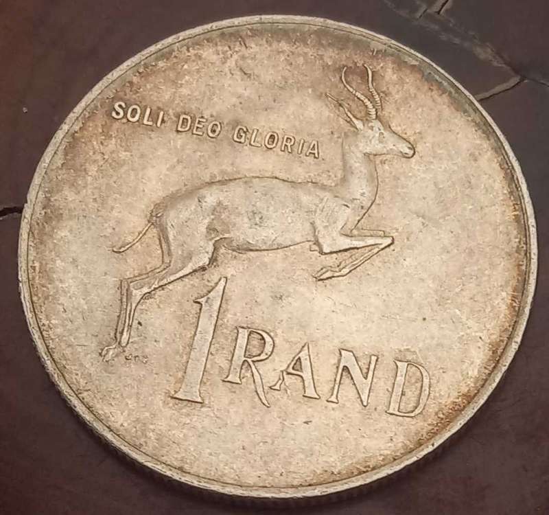 THE 1966 AFRIKAANS 1R SILVER TAGG EAR. ONLY 600 KNOWN
