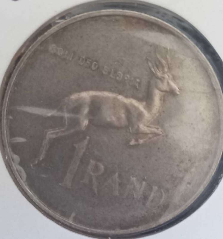1967 RSA SILVER 1R FEMALE VARIETY