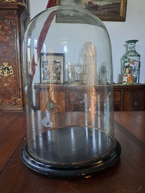 Large 43cm antique glass dome on wooden base for that very special item