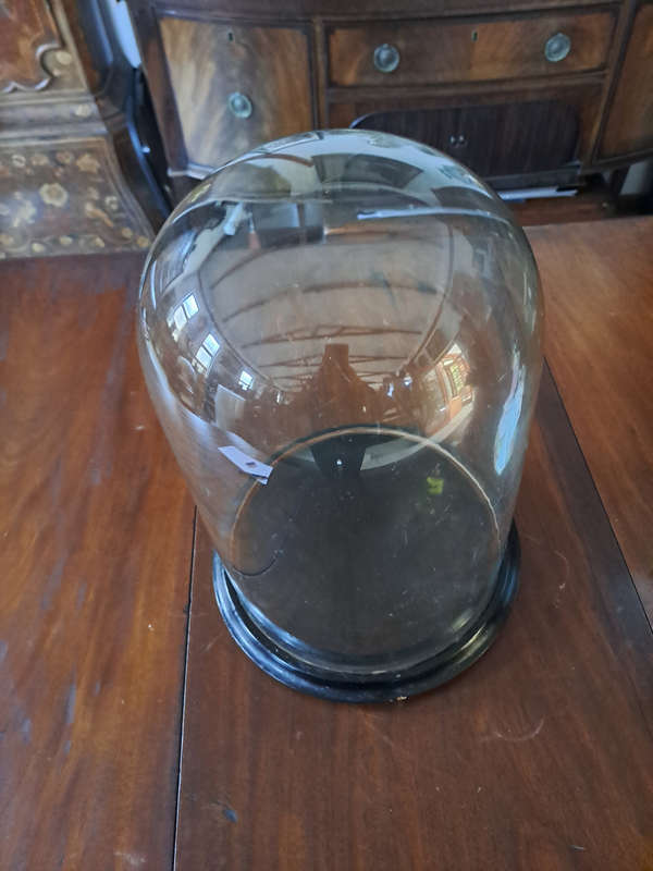 Large 43cm antique glass dome on wooden base for that very special item