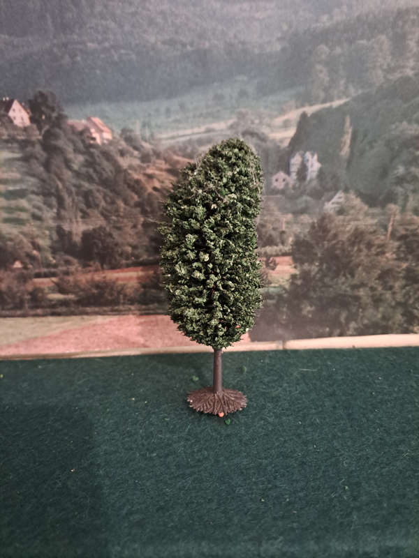 Ho  pine tree 10cm