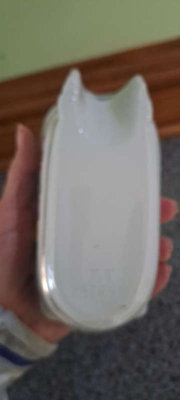 Naught Nelly VINTAGE CERAMIC ASHTRAY WITH NODDER. LADY IN BATHTUB WITH BUBBLES & ROCKING LEGS
