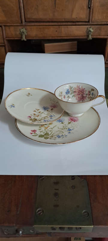 Hutschenreuther / Bavaria trio beautiful