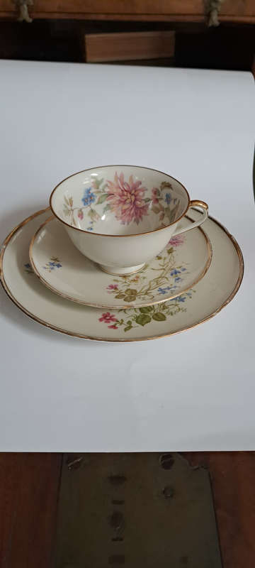Hutschenreuther / Bavaria trio beautiful