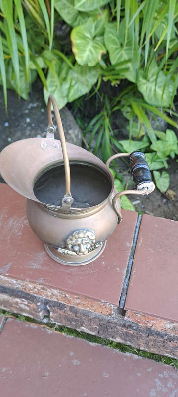 Vintage lion head brass coal bucket