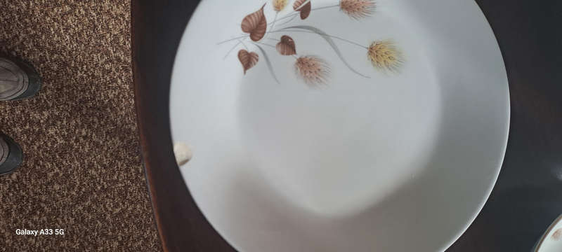 Spanish Pontesa 53pce dinner service complete