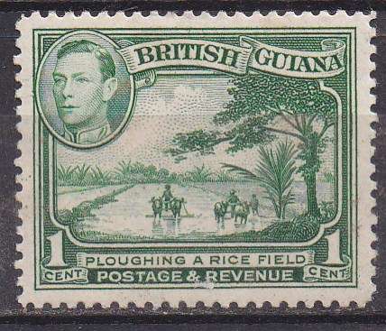 Great Britain 1938-52 British Guiana definitive issue KGvi 1c possibly, yellow-green MM