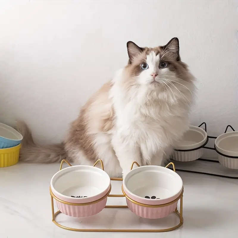 Double Ceramic Pet Bowl