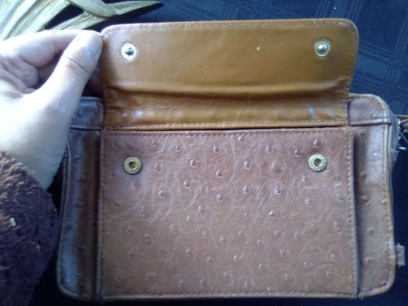 Ostrich Leather Clutch Bag