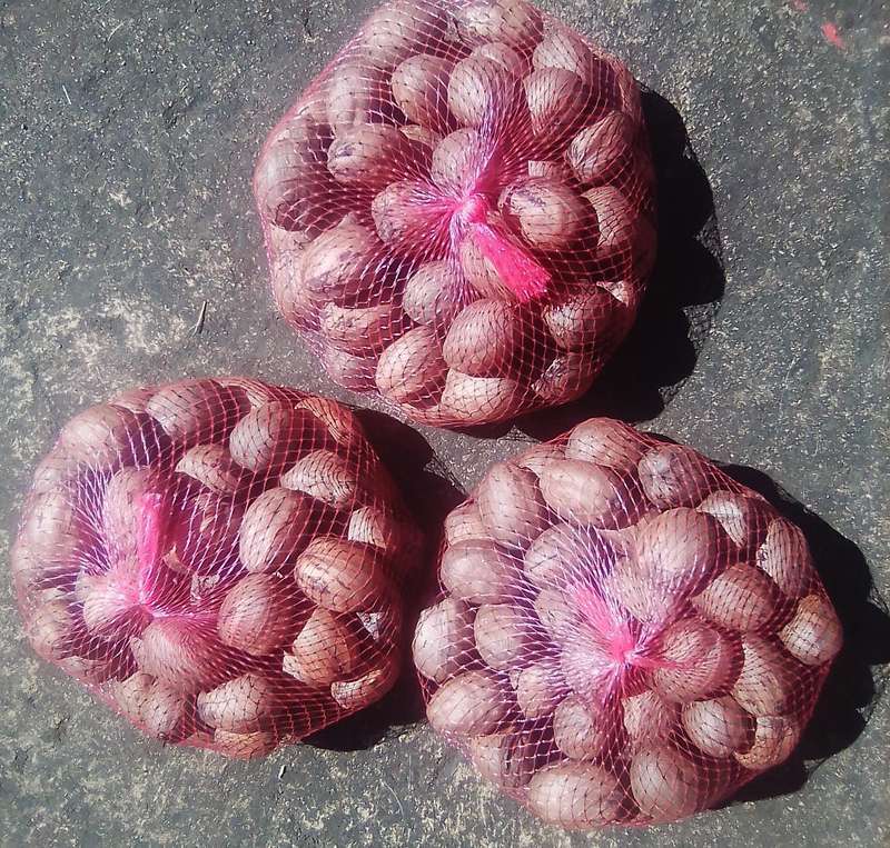 Pecan Nut Shells - Husks 500 g