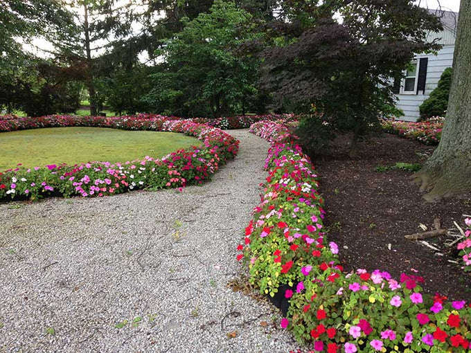 Growth Plant Stockings for Farmers, Gardeners or Land Scapes