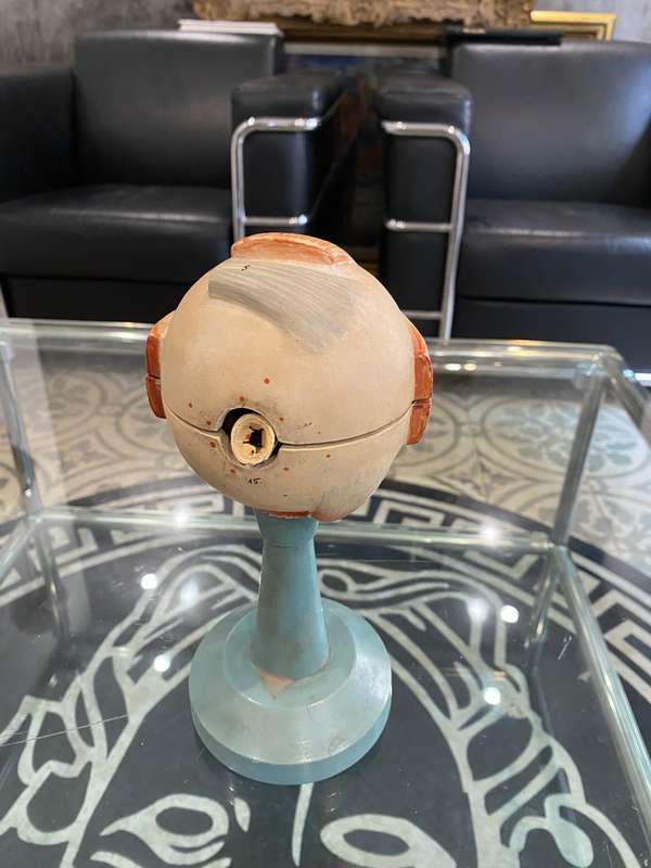 Anatomical Eye Model 1920s