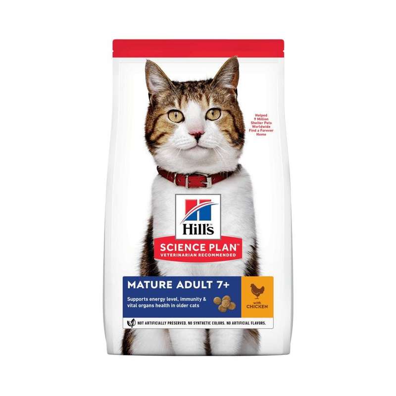 10kg Hills Mature Adult Cat Food & Heartdeco Pets Automatic Gravity Feeder & Water Dispenser Set