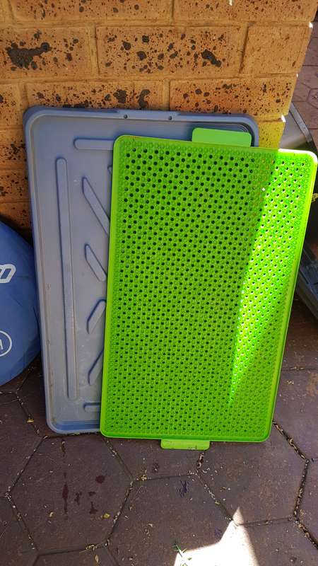 Puppy Potty Pad
