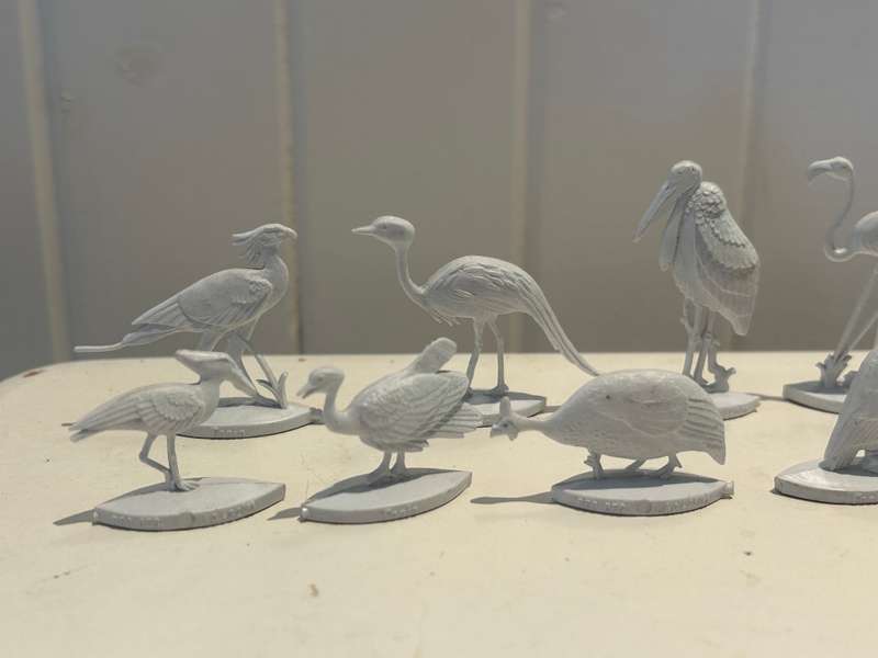 Extremely rare 1960s complete set of 12 FANTA Wild Birds of South Africa - Coke Coca Cola company