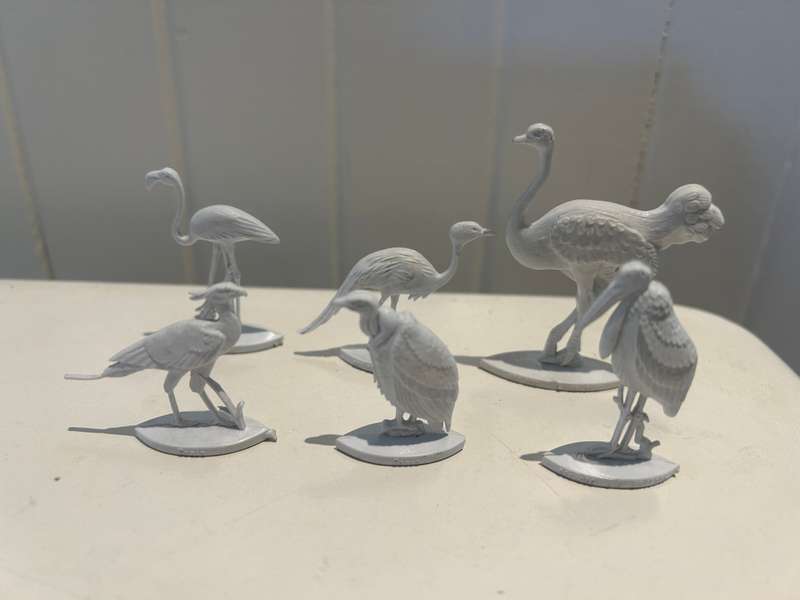 Extremely rare 1960s complete set of 12 FANTA Wild Birds of South Africa - Coke Coca Cola company