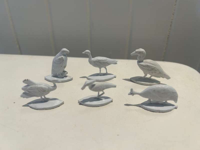 Extremely rare 1960s complete set of 12 FANTA Wild Birds of South Africa - Coke Coca Cola company