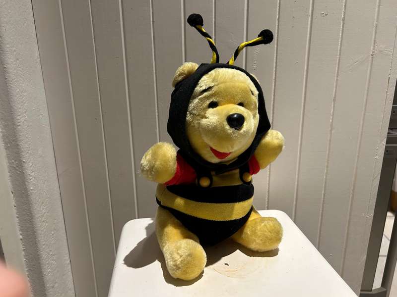 DISNEY WINNIE THE POOH Plush you dressed in his HONEY BEE disguise outfit