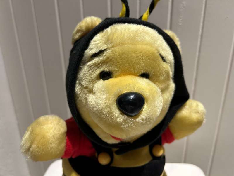 DISNEY WINNIE THE POOH Plush you dressed in his HONEY BEE disguise outfit