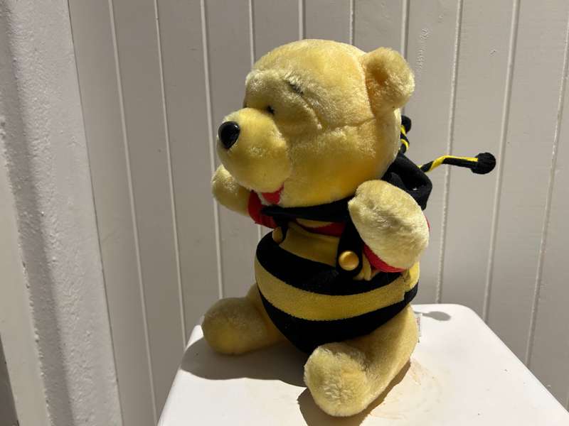 DISNEY WINNIE THE POOH Plush you dressed in his HONEY BEE disguise outfit