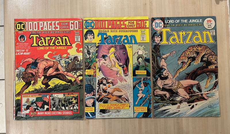 TARZAN of the APES Bronze age DC Comics lot of 20 comics