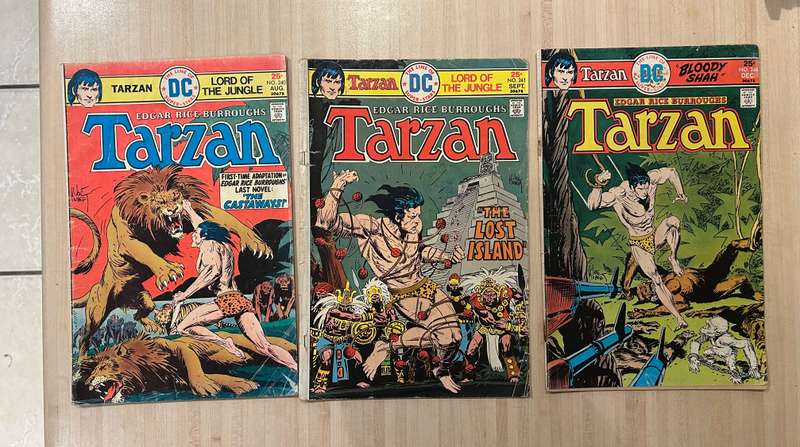 TARZAN of the APES Bronze age DC Comics lot of 20 comics