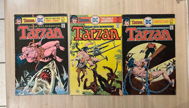 TARZAN of the APES Bronze age DC Comics lot of 20 comics