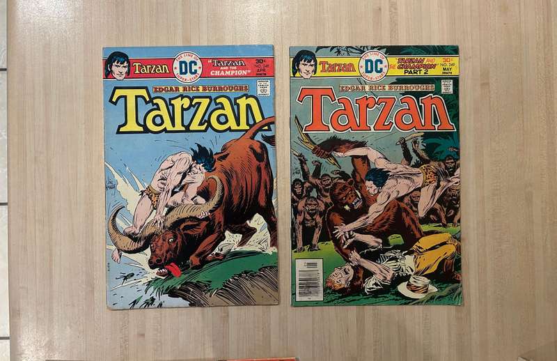 TARZAN of the APES Bronze age DC Comics lot of 20 comics