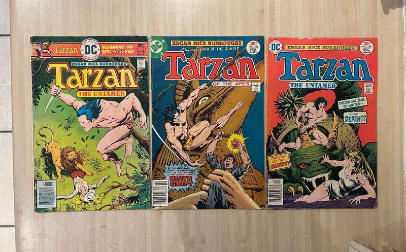 TARZAN of the APES Bronze age DC Comics lot of 20 comics