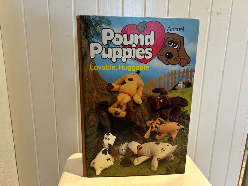 An original 1980s POUND PUPPIES Hard cover ANNUAL 1980s