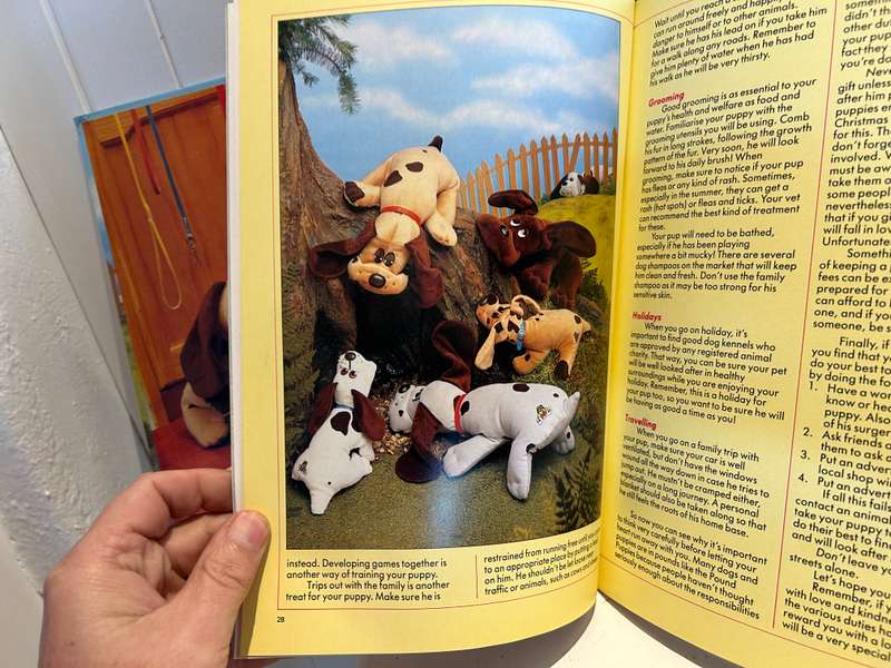 An original 1980s POUND PUPPIES Hard cover ANNUAL 1980s