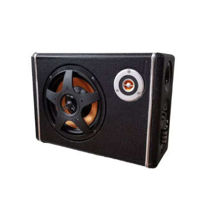 4800W 12V Active Power Subwoofer built in MP Ctc-6630