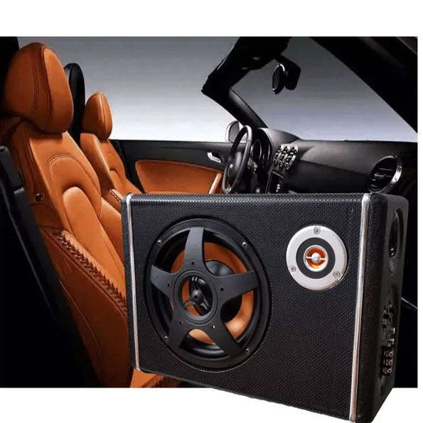 4800W 12V Active Power Subwoofer built in MP Ctc-6630