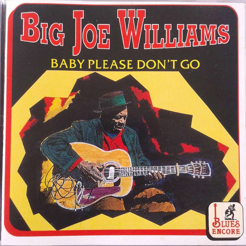 Big Joe Williams - Baby Please Don't Go (1994)