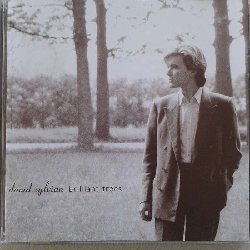 David Sylvian - Brillaint Trees [Import CD] (2006)