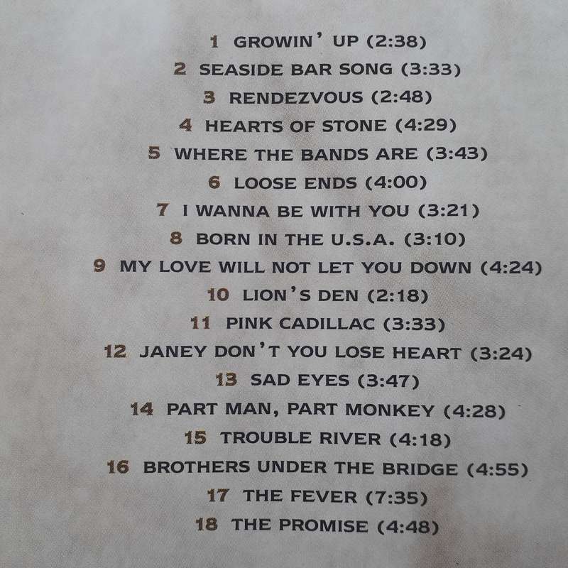 Bruce Springsteen - 18 Tracks (1999)