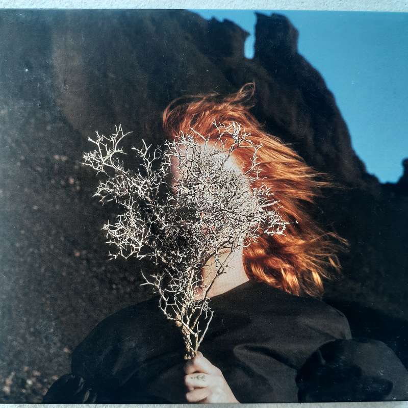 Goldfrapp - Silver Eye [Import CD digipak]   (2017)