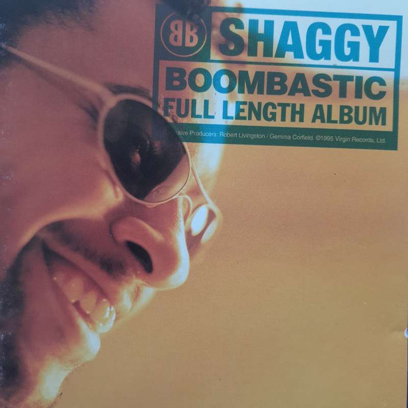Shaggy - Boombastic (1995)
