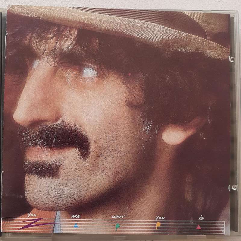 Frank Zappa - You Are What You Is (1981)