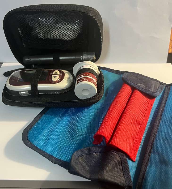 Accu-Chek Performa Glucose Test Kit.