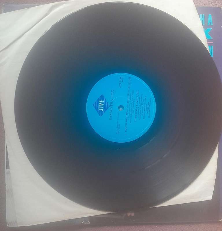 Samantha Fox Hold on Tight Vinyl