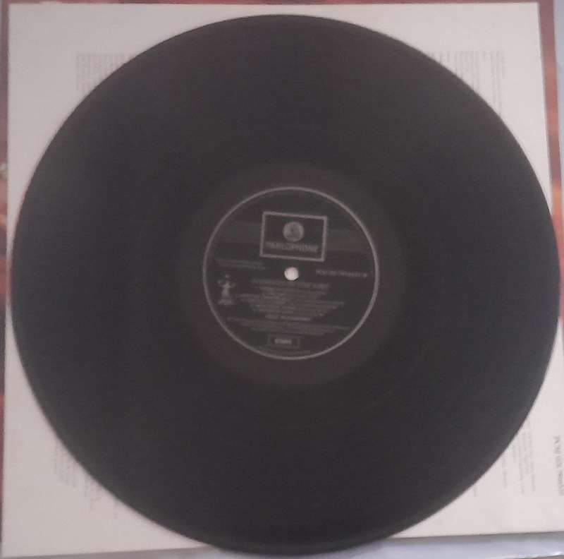 Paul McCartney Flowers In The Dirt Vinyl