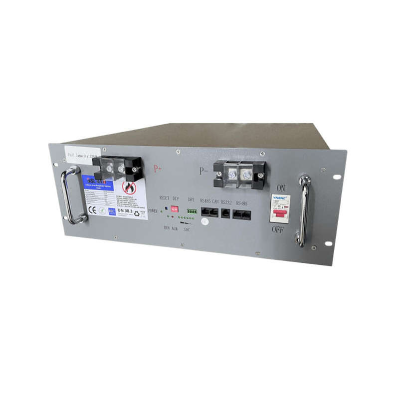BSL Bulls 48V (51.2V) 6.4kWh 125Ah LiFePO4 Lithium Iron Battery