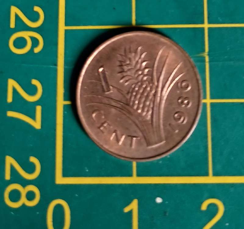 1986 1 Cent ~ Swaziland