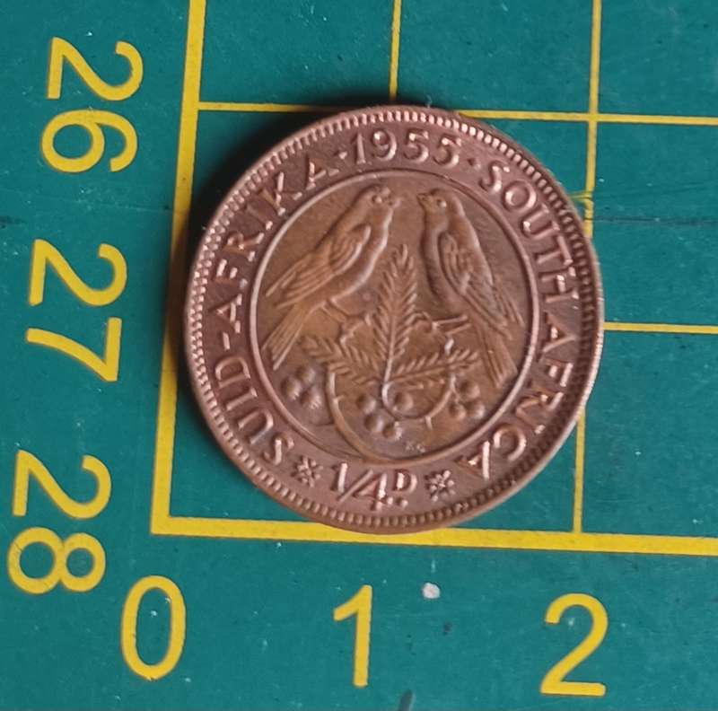 1955 ~ 1/4D ~ 1/4 Penny ~ Farthing ~ South Africa