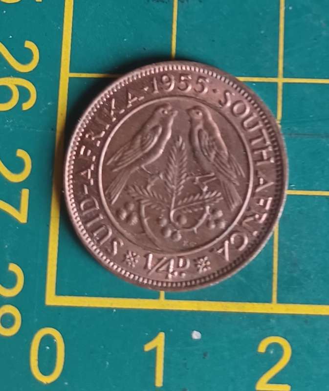 1955 ~ 1/4D ~ 1/4 Penny ~ Farthing ~ South Africa
